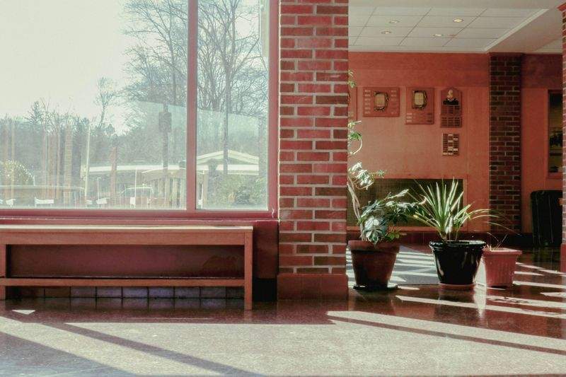 未来学園 - Image 7